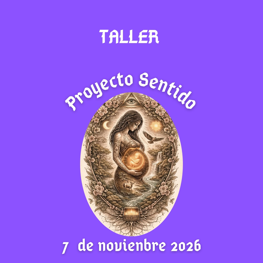 Taller proyecto sentido